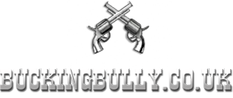 Bridlington Inflatable Events - Bucking Bully